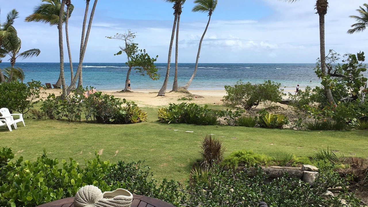 Photo of Others in Puerto Bahia