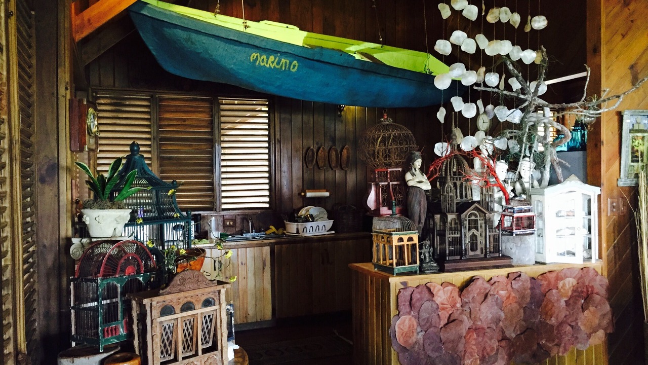 Photo of Others in Puerto Bahia