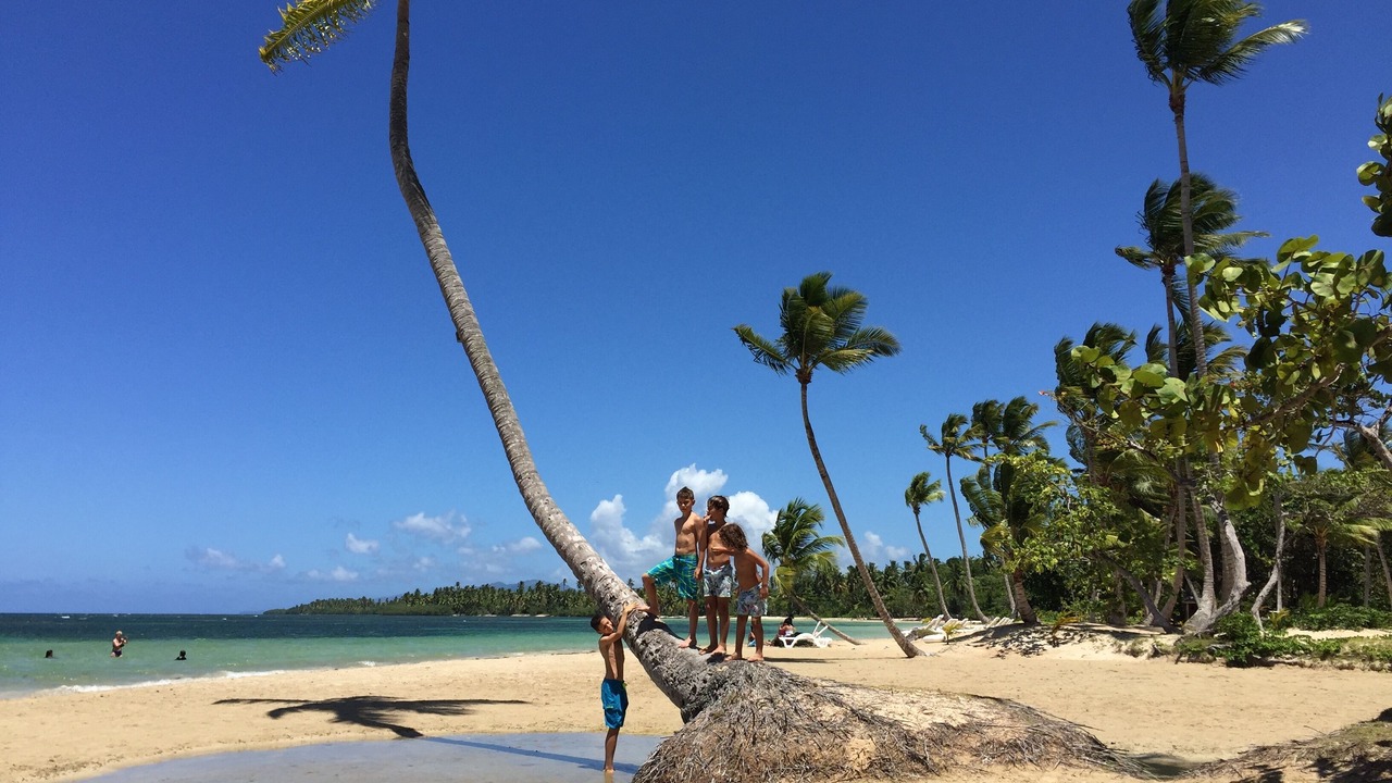 Photo of Others in Puerto Bahia