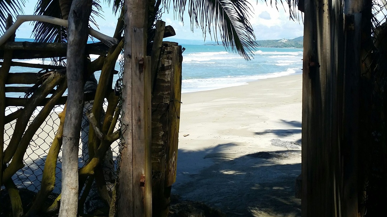 Photo of Others in Las Canas