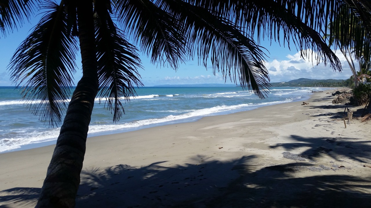 Photo of Others in Las Canas