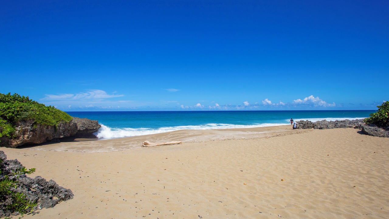Photo of Others in Playa Chiquita