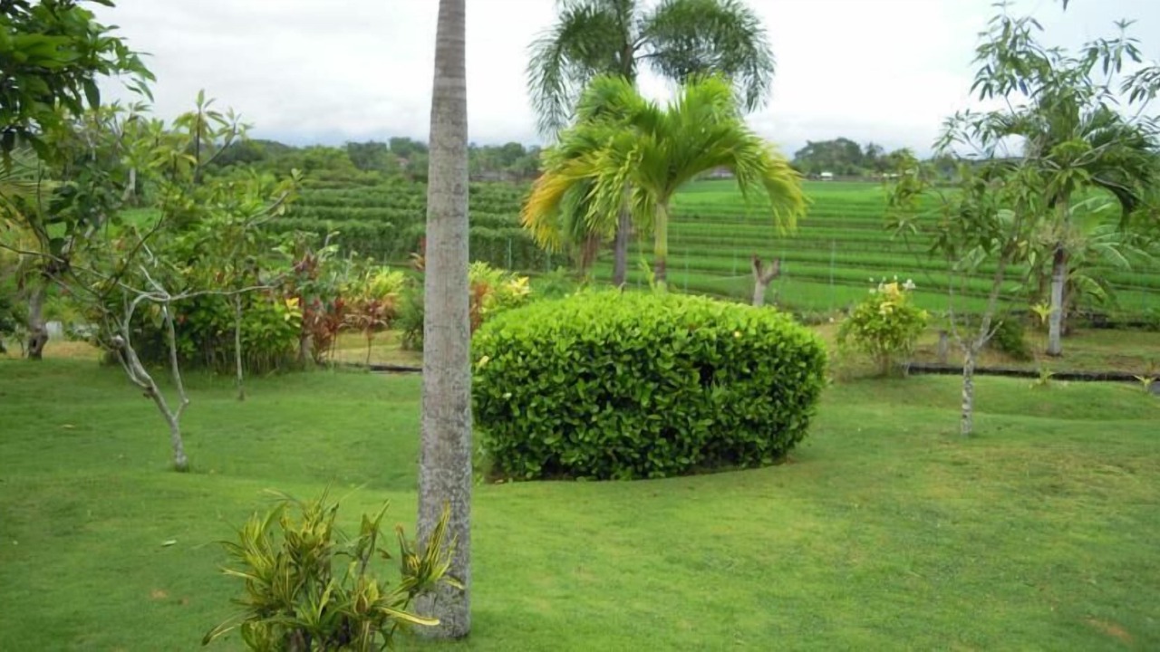 Photo of Outdoor in Kelating