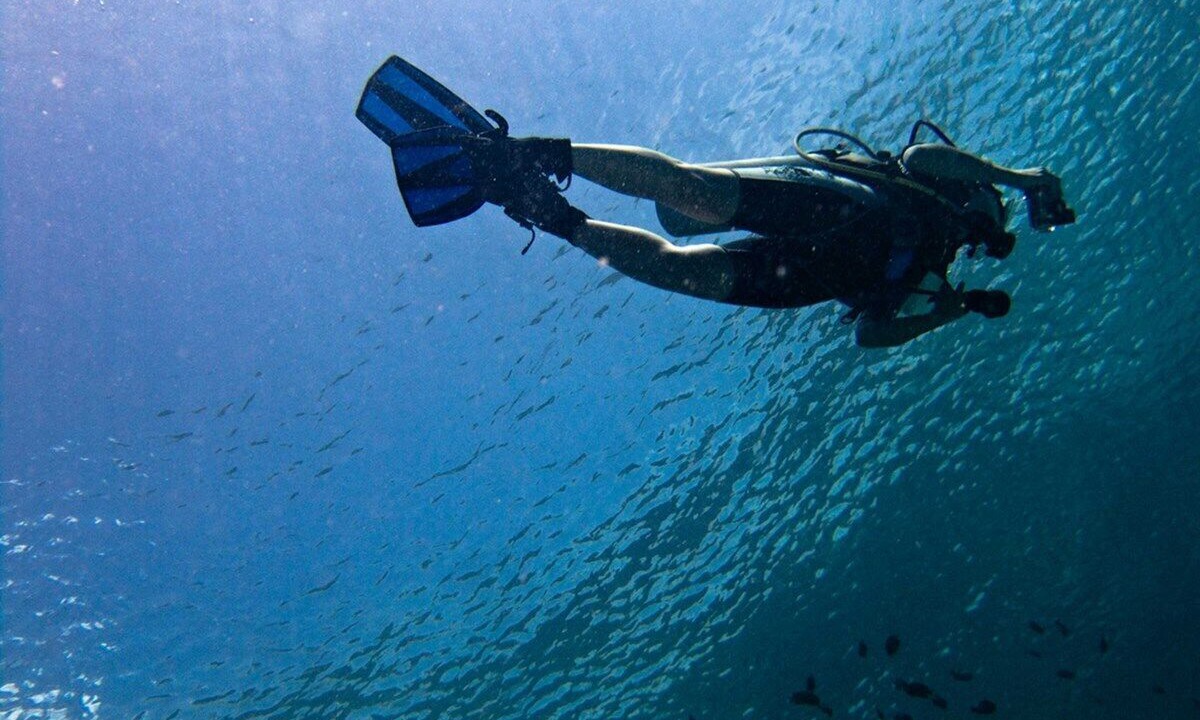 Photo of Outdoor in Cerf Island