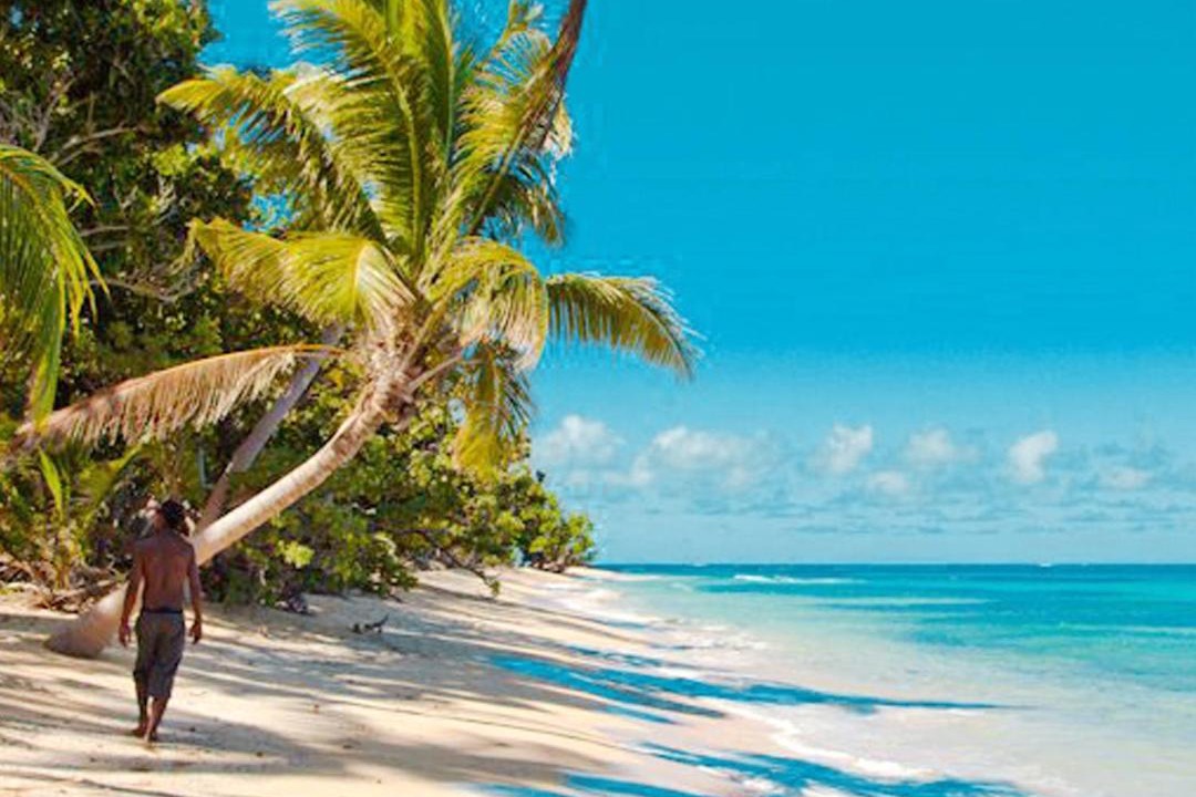Photo of Outdoor in Qamea Island