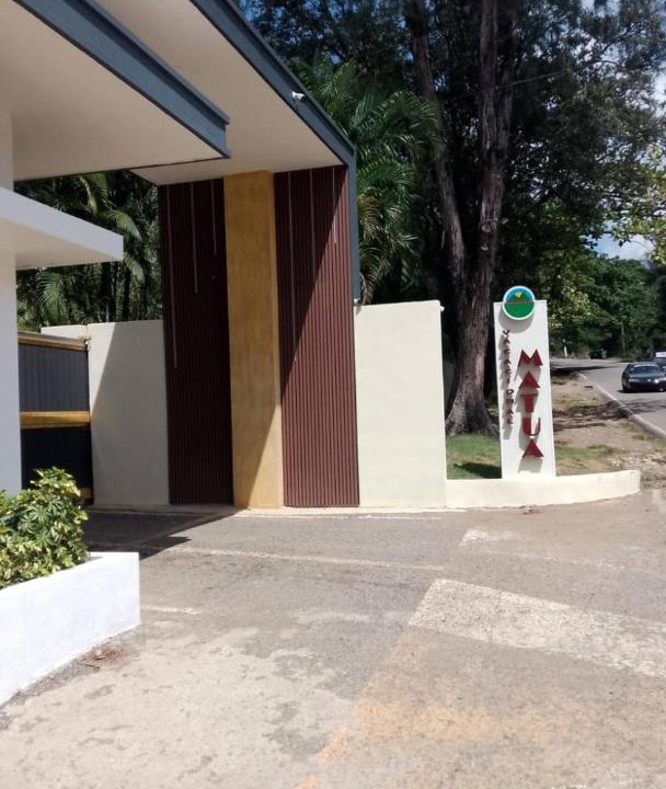 Photo of Others in Pedro Brand