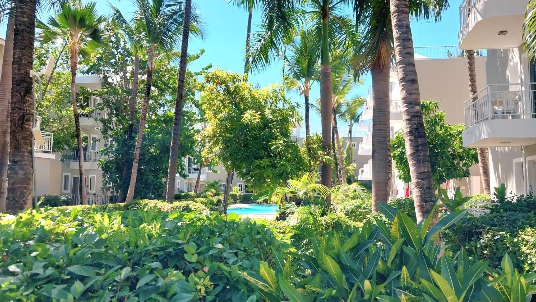 Photo of Others in Bavaro