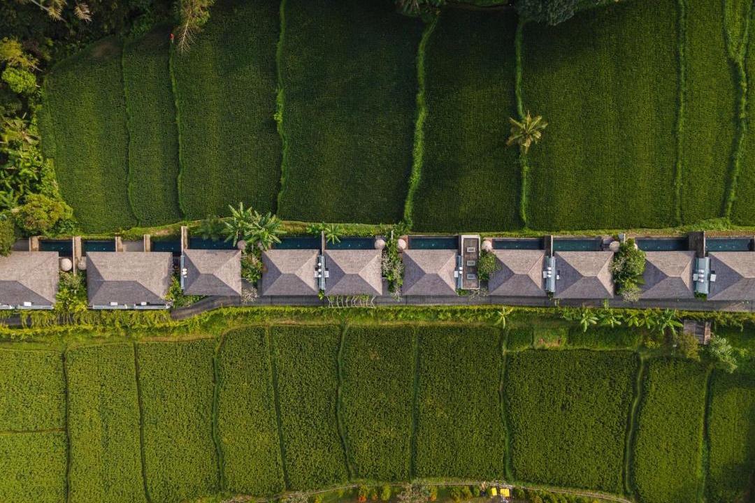 Photo of Others in Ubud City-Centre