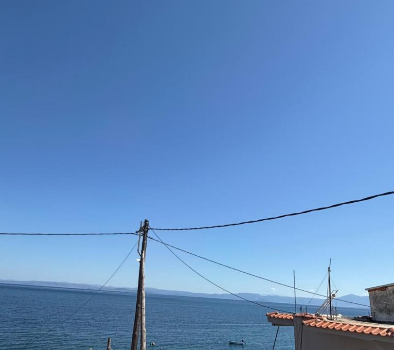Photo of Others in Ilia