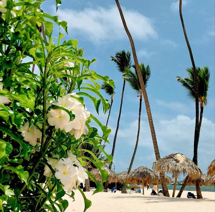Photo of Others in Bavaro