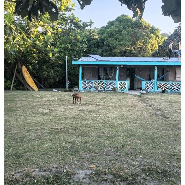 Photo of Others in Naviti Island