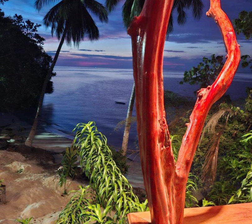 Photo of Others in Batudaka Island