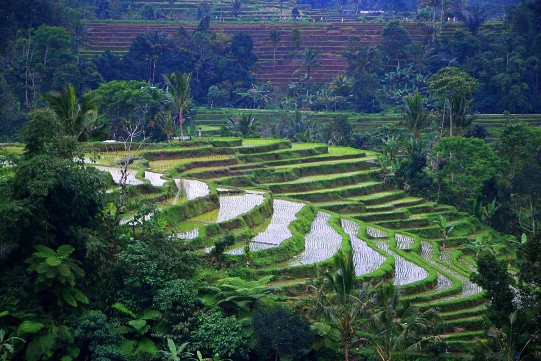 Photo of Others in Denpasar Timur