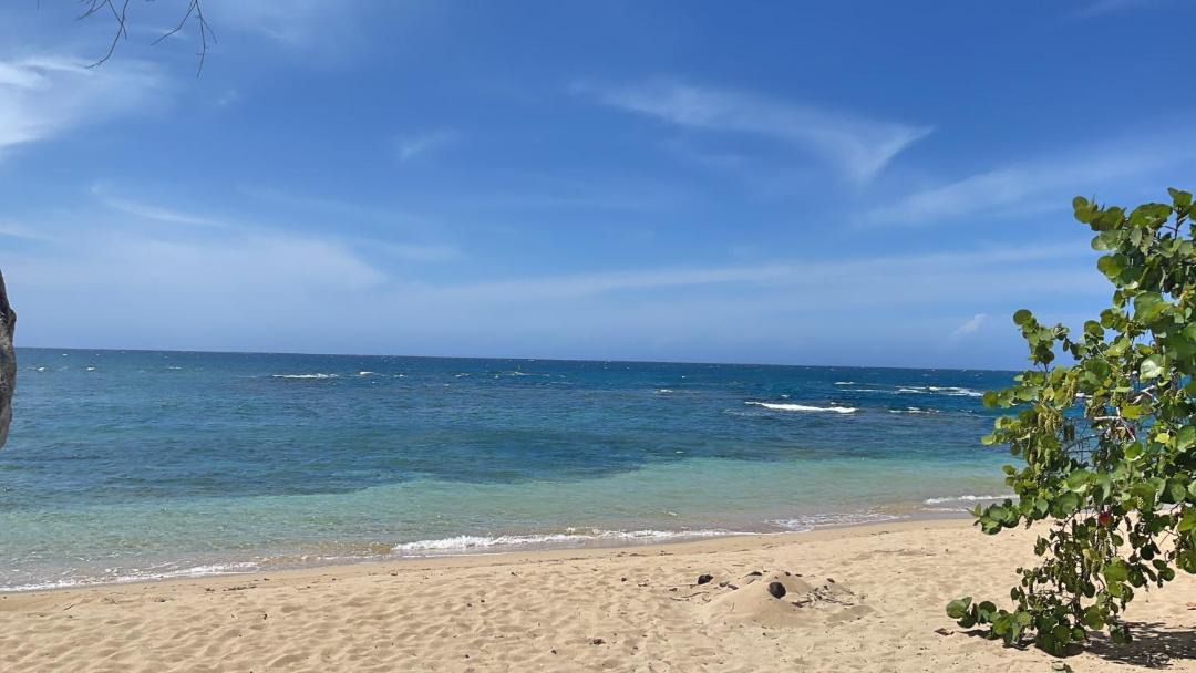 Photo of Others in Puerto Plata