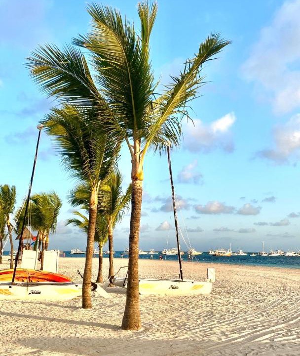 Photo of Others in Bavaro