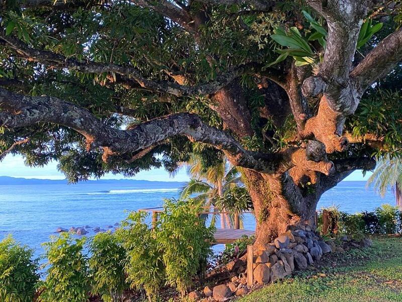 Photo of Others in Taveuni Island East