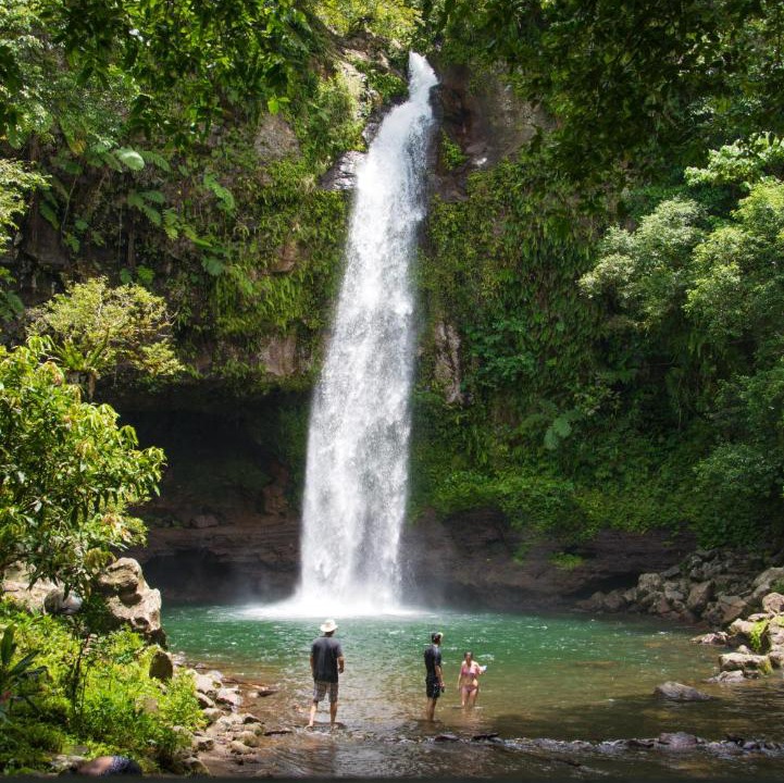 Photo of Others in Taveuni Island East