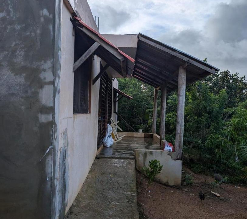 Photo of Others in Puerto Bahia
