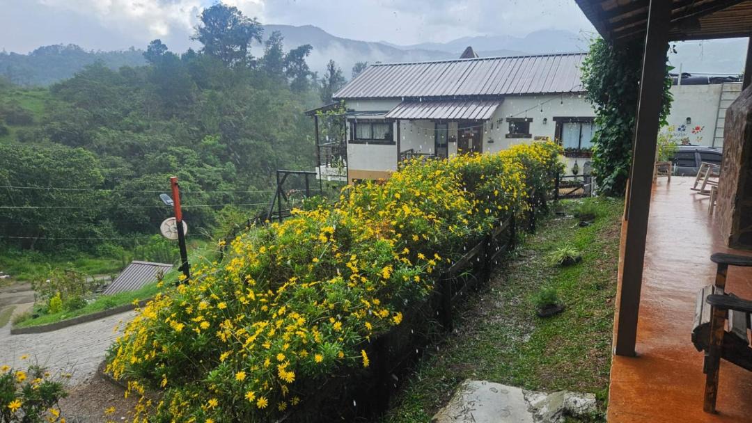 Photo of Others in Constanza