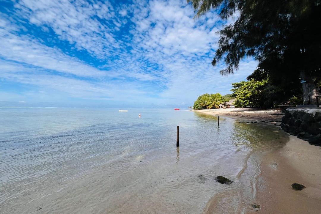Photo of Others in Moorea-Maiao