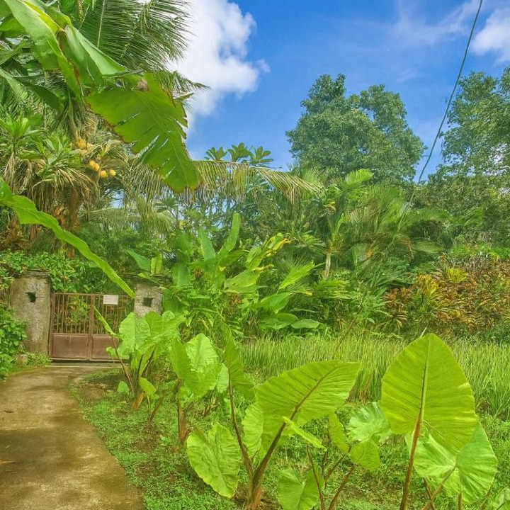 Photo of Others in Penestanan