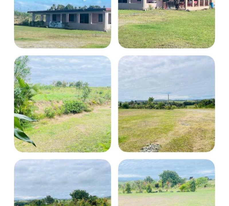 Photo of Buildings in Coral Coast