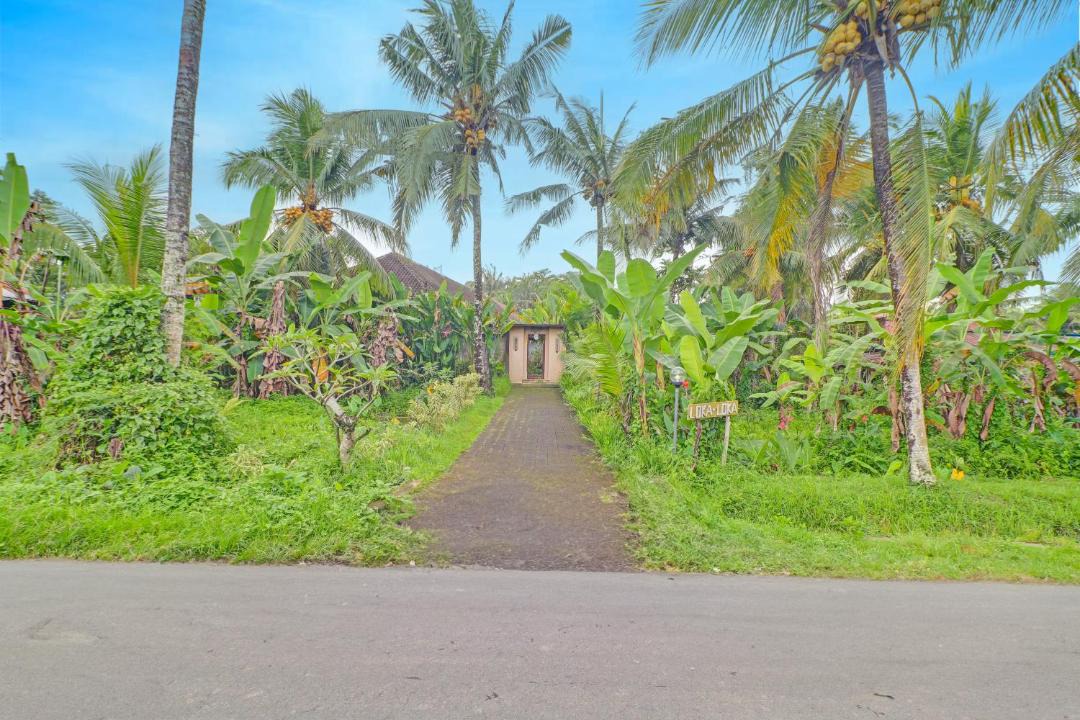 Photo of Others in Ubud