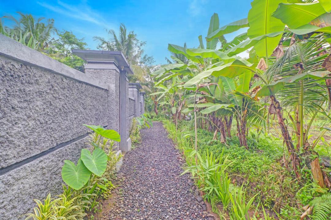 Photo of Others in Ubud