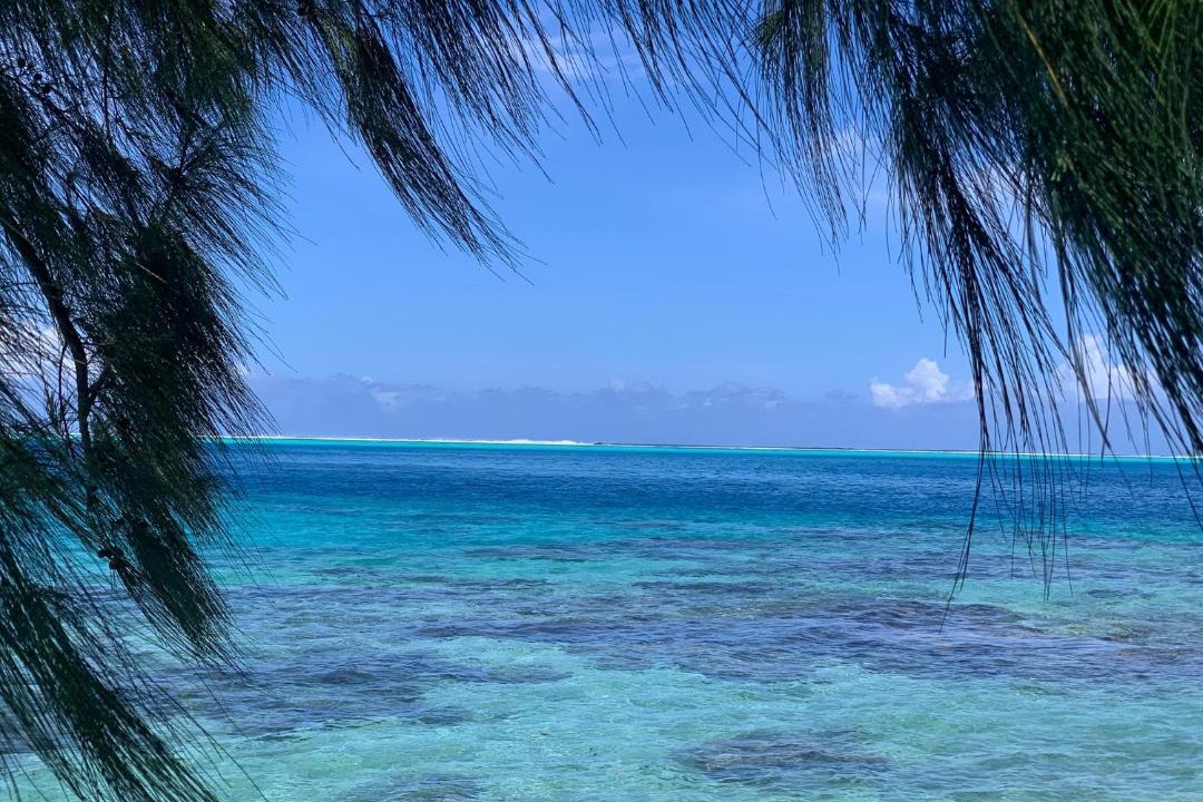 Photo of Others in Huahine