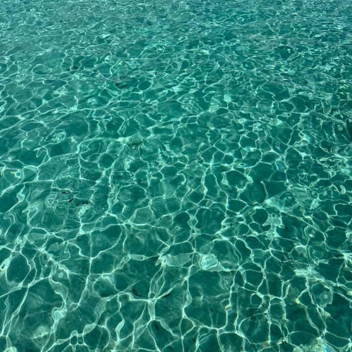 Photo of Others in Huahine