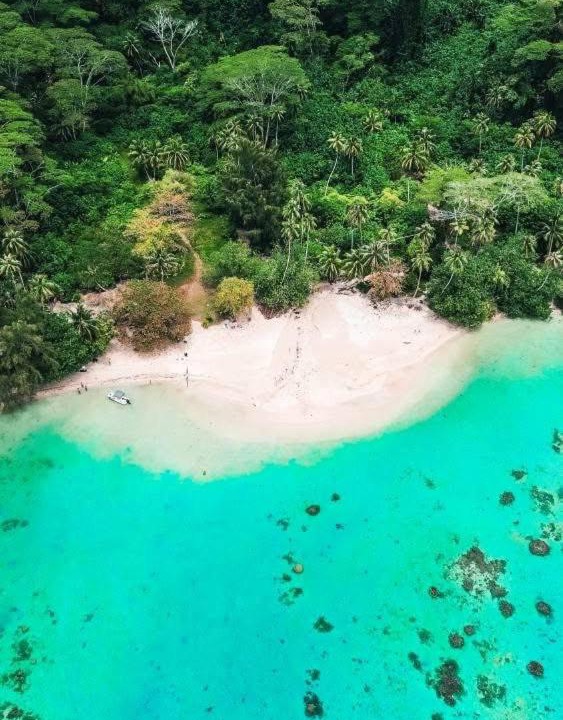Photo of Others in Huahine