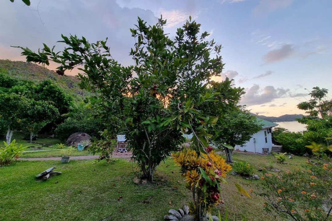 Photo of Others in Anse Volbert Village