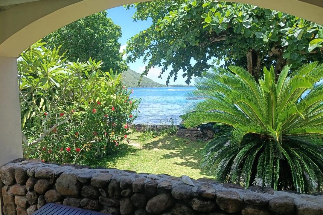 Photo of Others in Pihaena