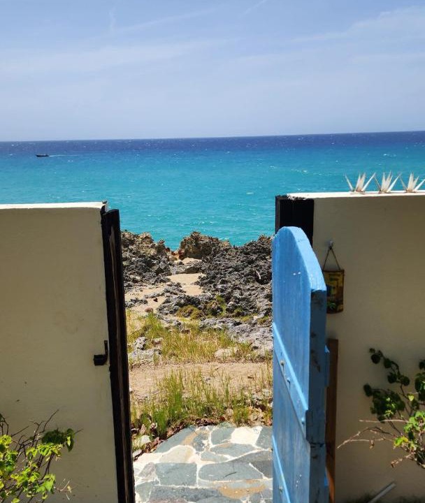 Photo of Others in Playa Chiquita