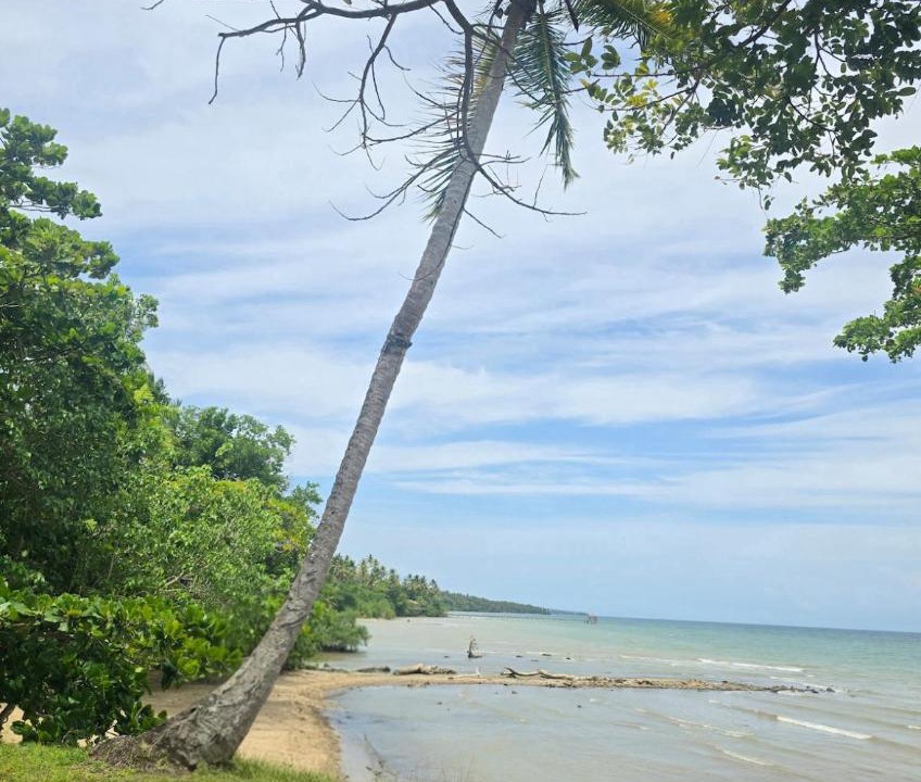Photo of Others in Puerto Bahia