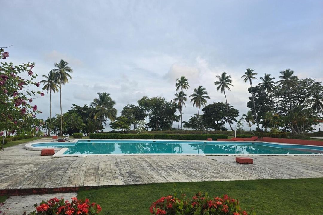Photo of Others in Puerto Bahia