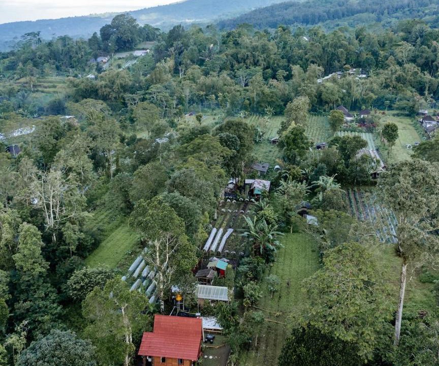 Photo of Others in Baturiti