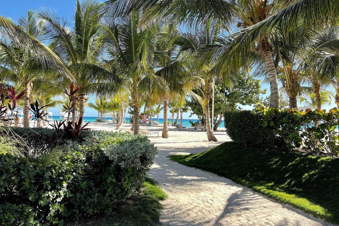 Photo of Others in Dominicus