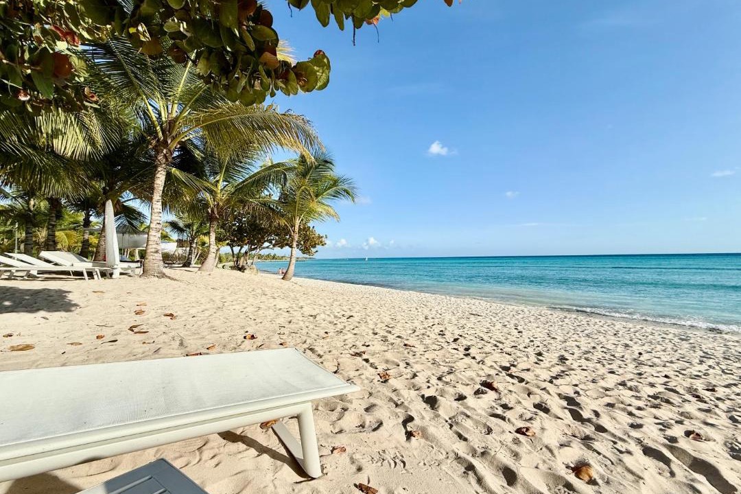 Photo of Others in Dominicus