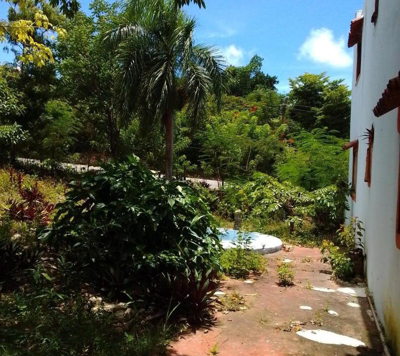 Photo of Others in Pimentel