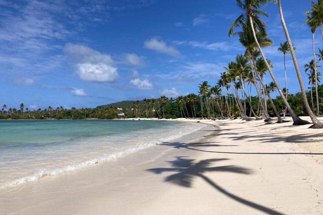 Photo of Others in Las Galeras