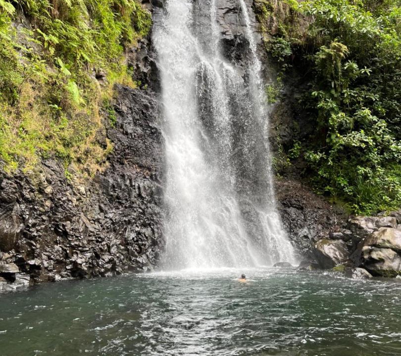 Photo of Others in Taveuni Island East