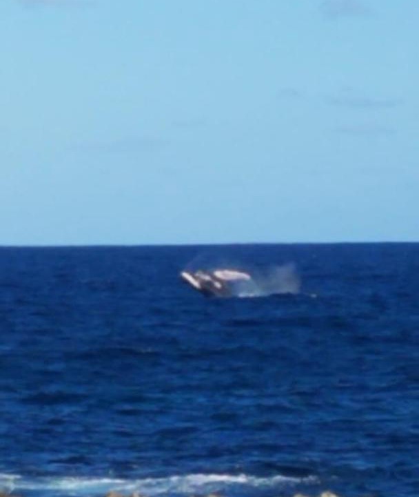Photo of Others in Samana