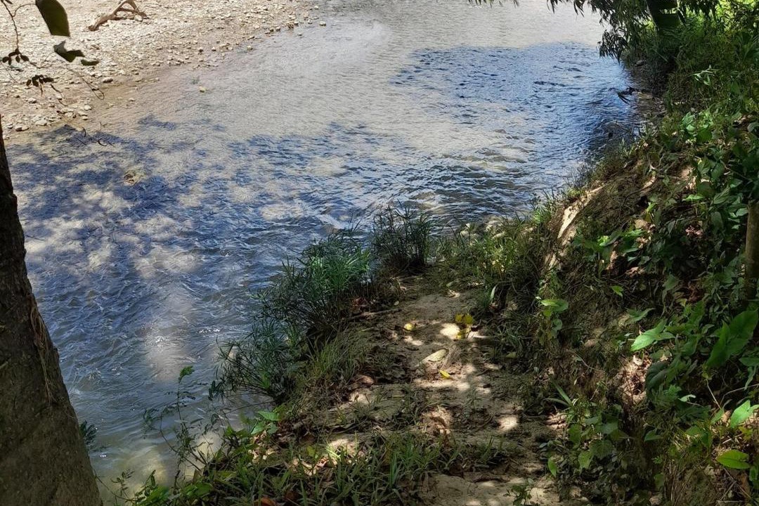 Photo of Others in Veragua