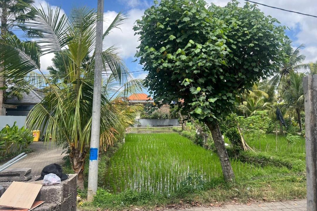 Photo of Outdoor in Mas