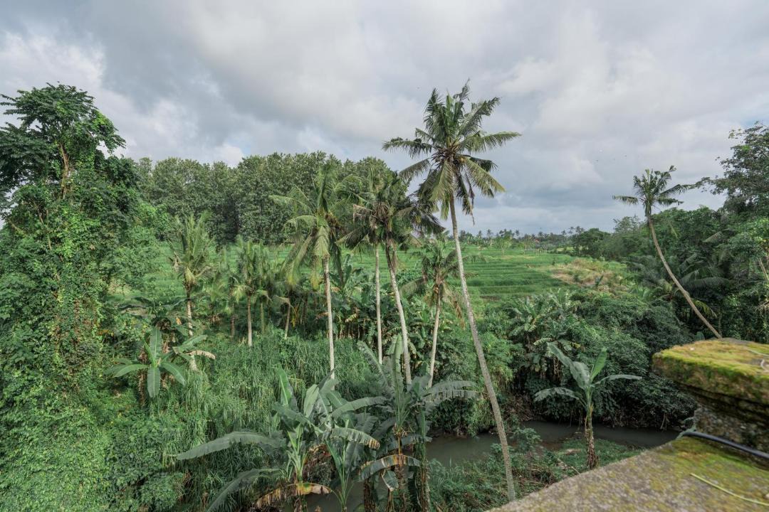 Photo of Others in Penatih