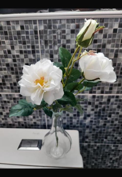 Photo of Bathroom in Santo Domingo