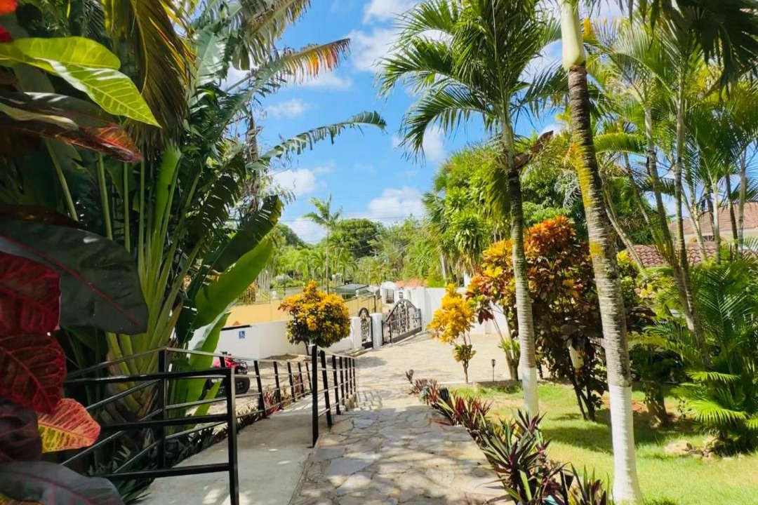 Photo of Others in La Mulata