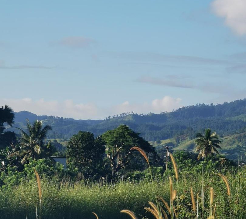 Photo of Others in Nadi