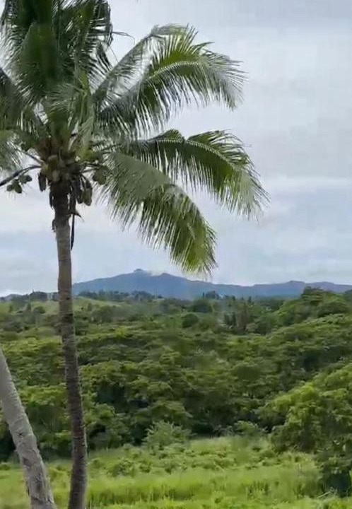 Photo of Others in Nadi